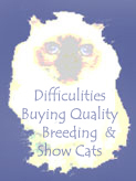 Click HERE to read, "The Difficulities of Buying Quality Breeding & Show Cats."
