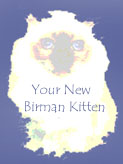 Click HERE to read an excellent article written by our friend Cyndee Myers about your new Birman kitten!